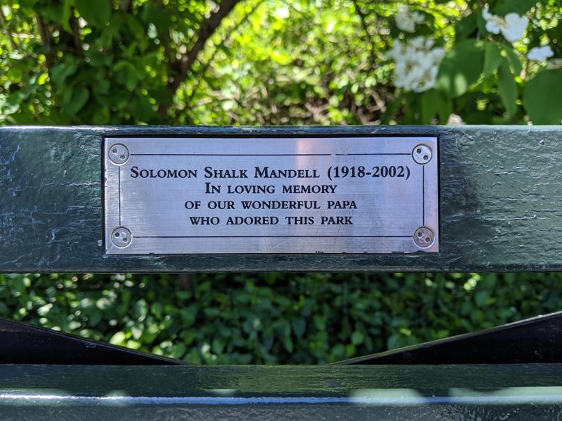 I saw this bench in Central Park