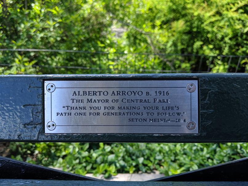 I saw this bench in Central Park