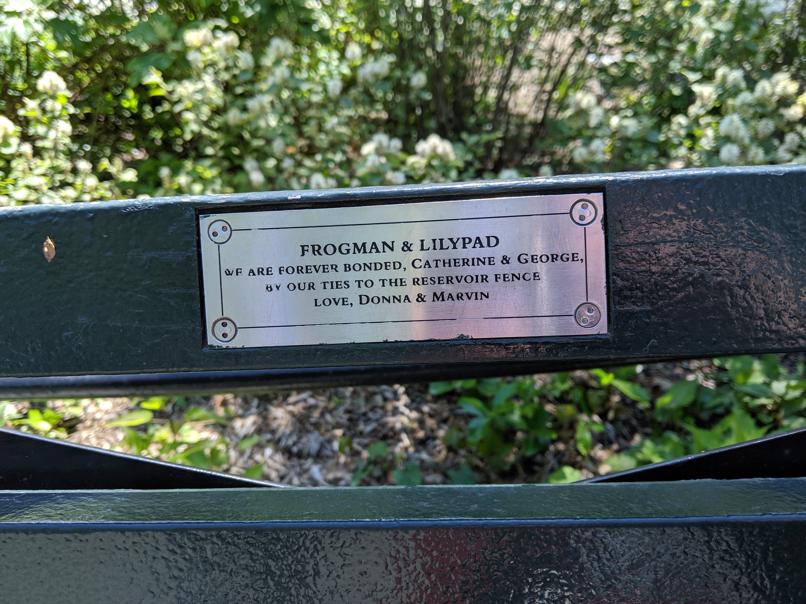 I saw this bench in Central Park