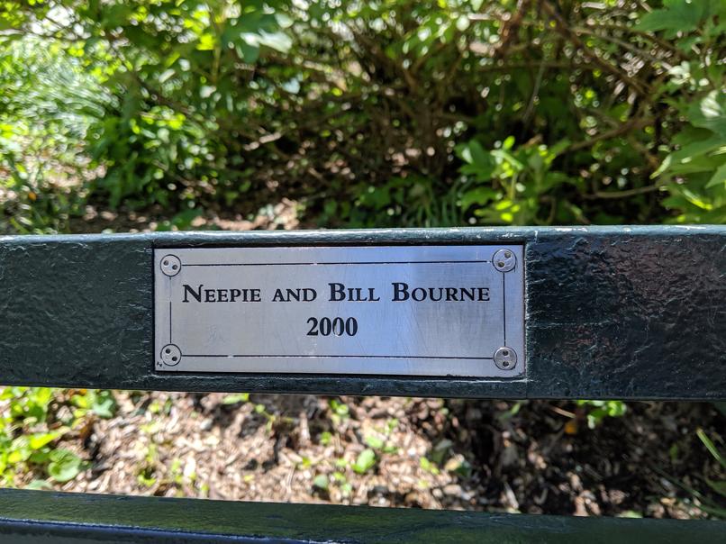 I saw this bench in Central Park