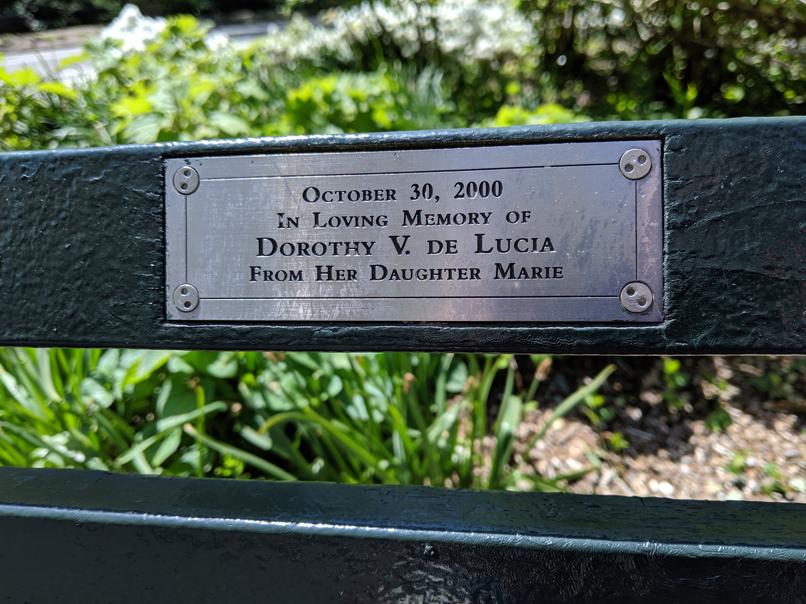 I saw this bench in Central Park