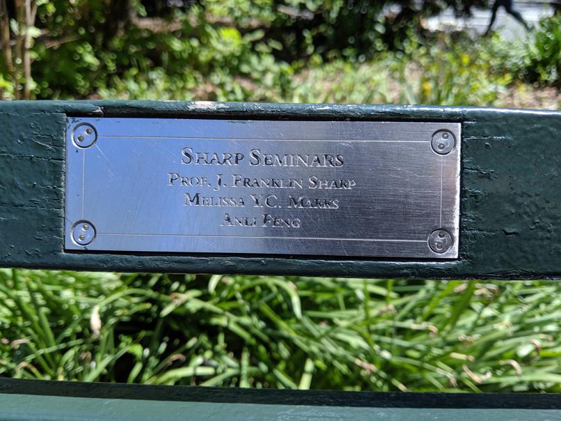 I saw this bench in Central Park