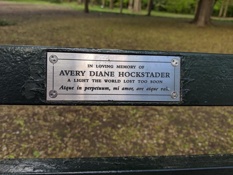 I saw this bench in Central Park