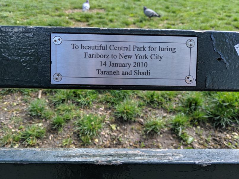 I saw this bench in Central Park