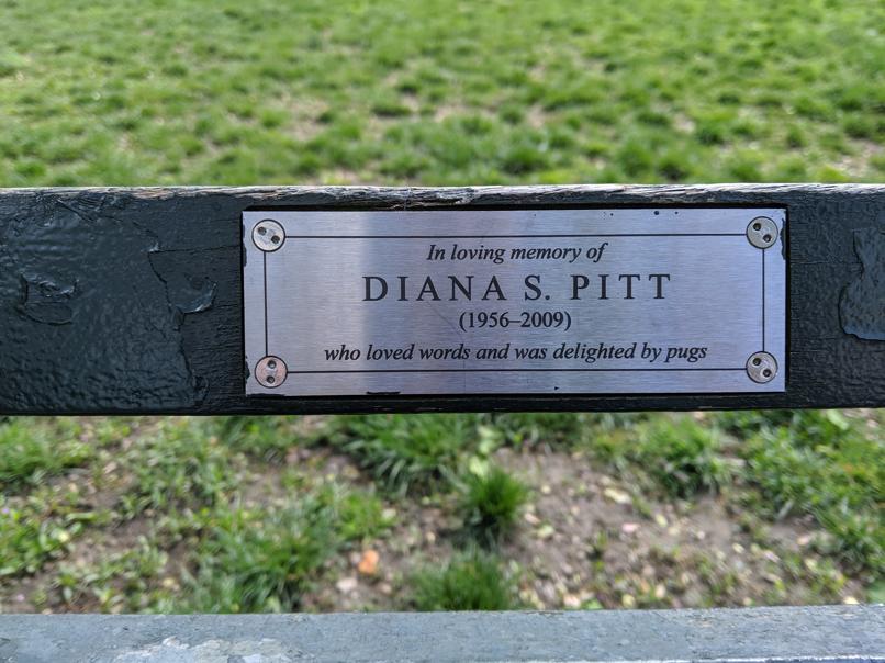 I saw this bench in Central Park