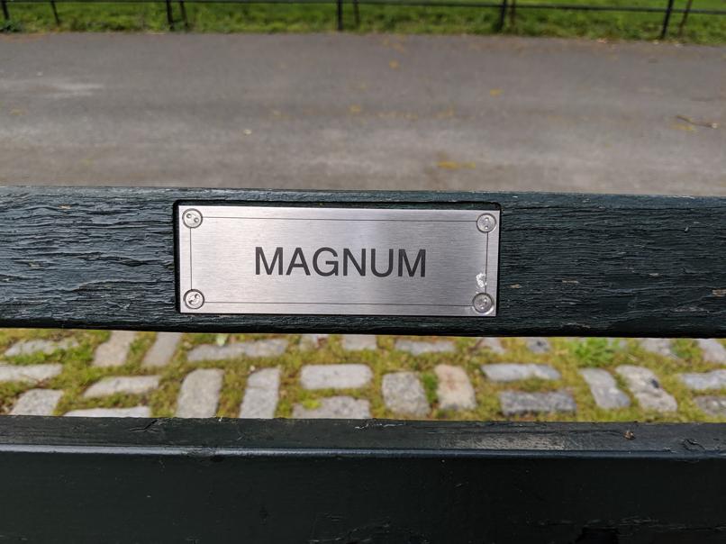 I saw this bench in Central Park