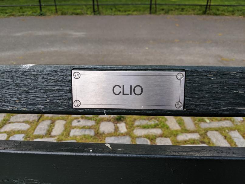 I saw this bench in Central Park