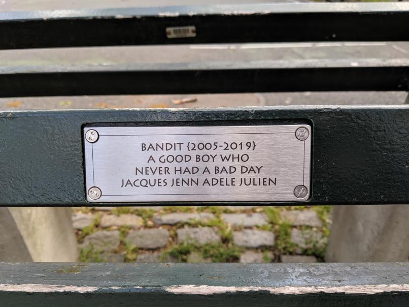 I saw this bench in Central Park