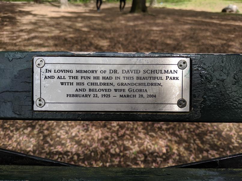 I saw this bench in Central Park