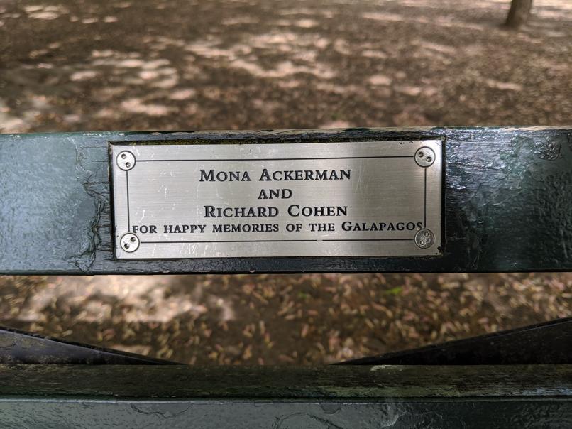 I saw this bench in Central Park