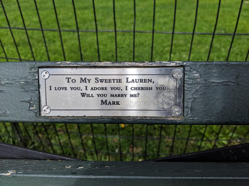 I saw this bench in Central Park