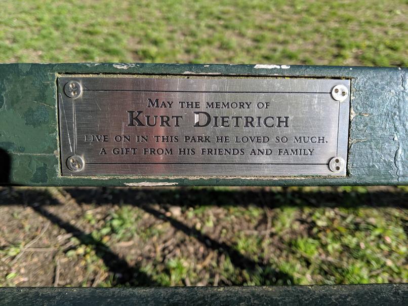 I saw this bench in Central Park