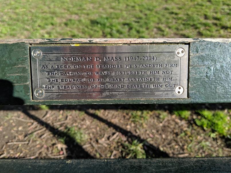 I saw this bench in Central Park