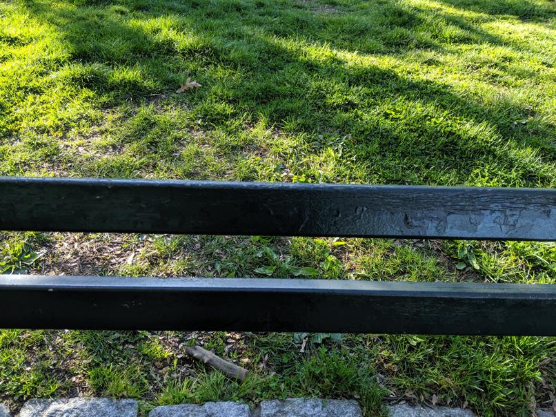 I saw this bench in Central Park