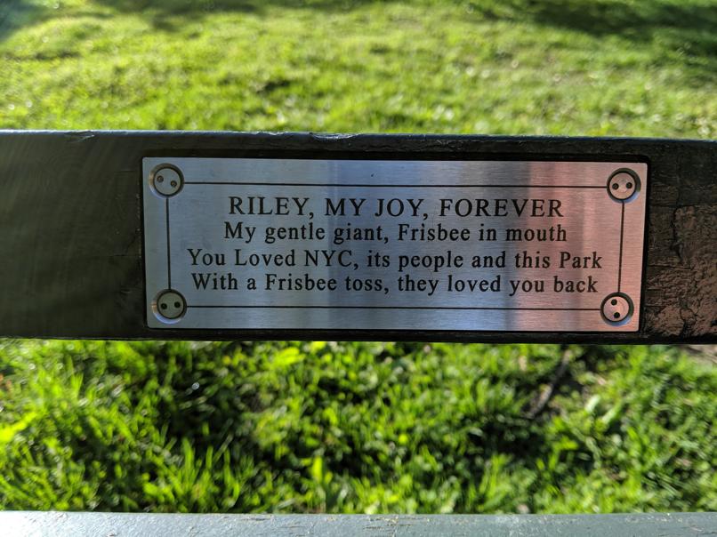 I saw this bench in Central Park