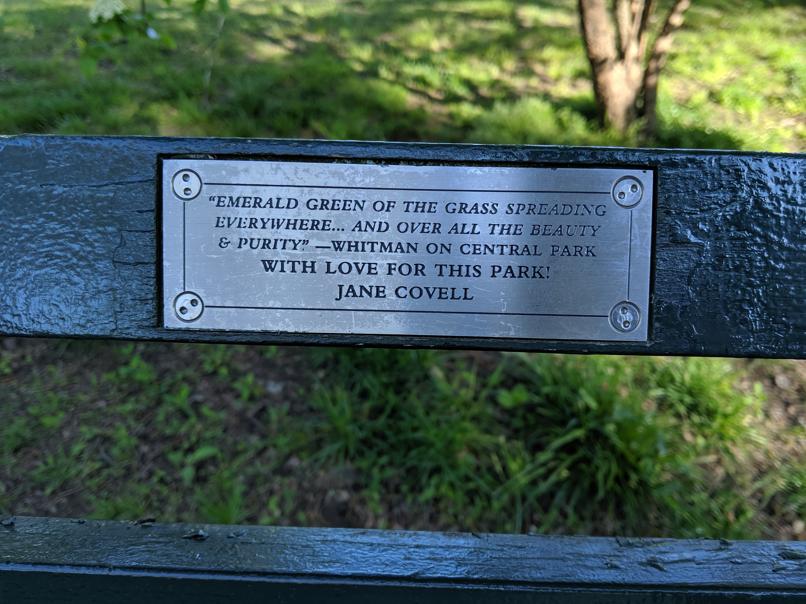 I saw this bench in Central Park