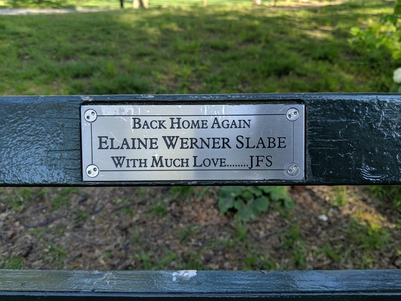 I saw this bench in Central Park