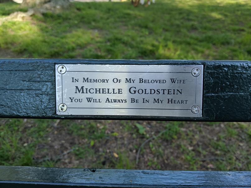 I saw this bench in Central Park