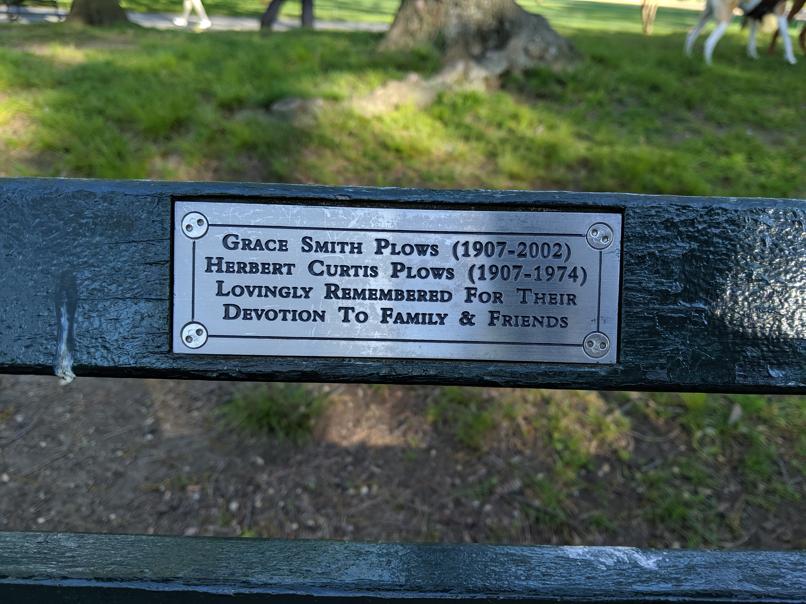 I saw this bench in Central Park