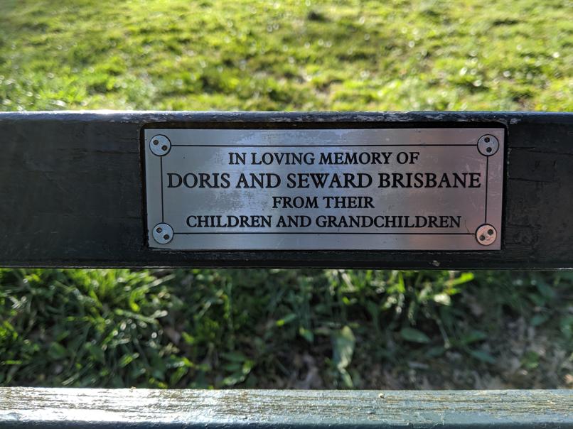 I saw this bench in Central Park