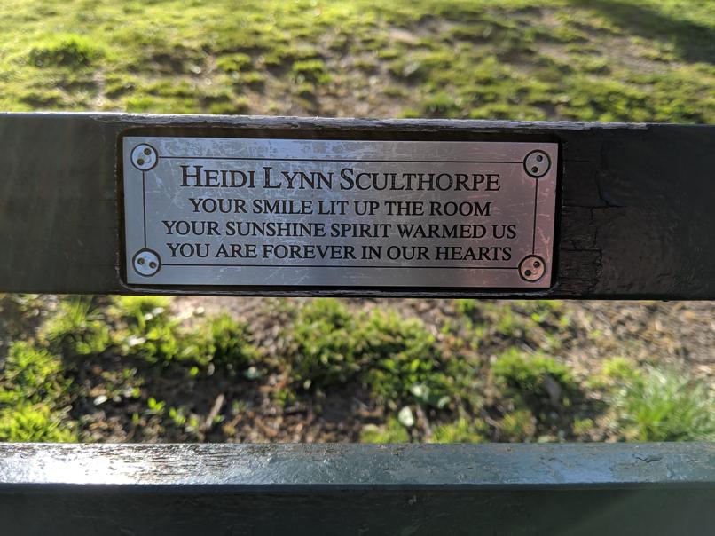 I saw this bench in Central Park