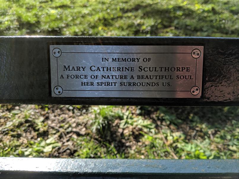 I saw this bench in Central Park