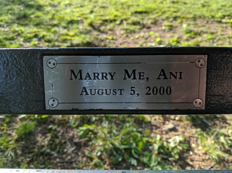 I saw this bench in Central Park