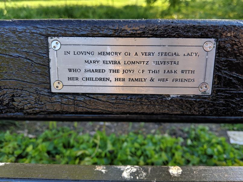 I saw this bench in Central Park