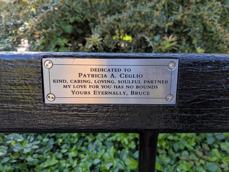 I saw this bench in Central Park