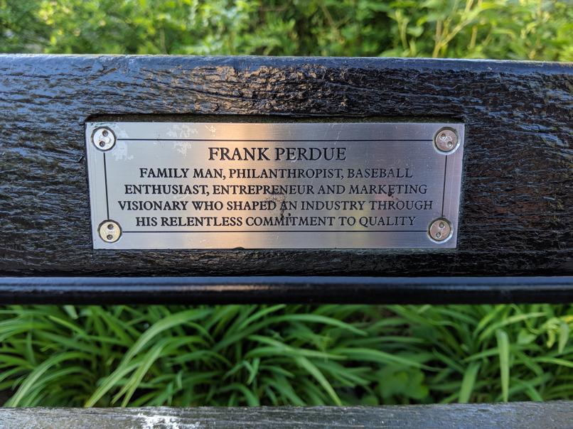 I saw this bench in Central Park