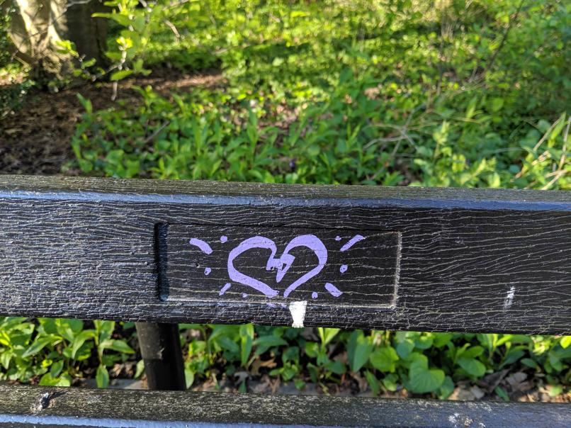 I saw this bench in Central Park