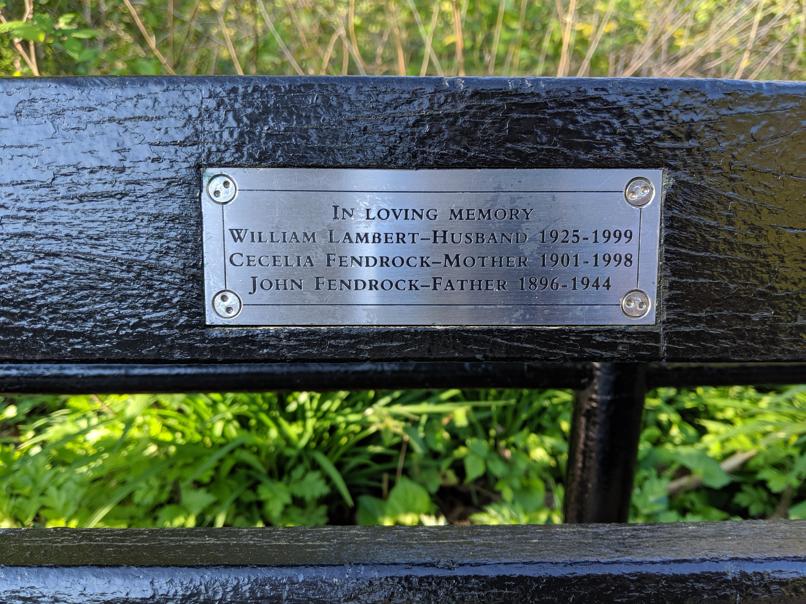 I saw this bench in Central Park