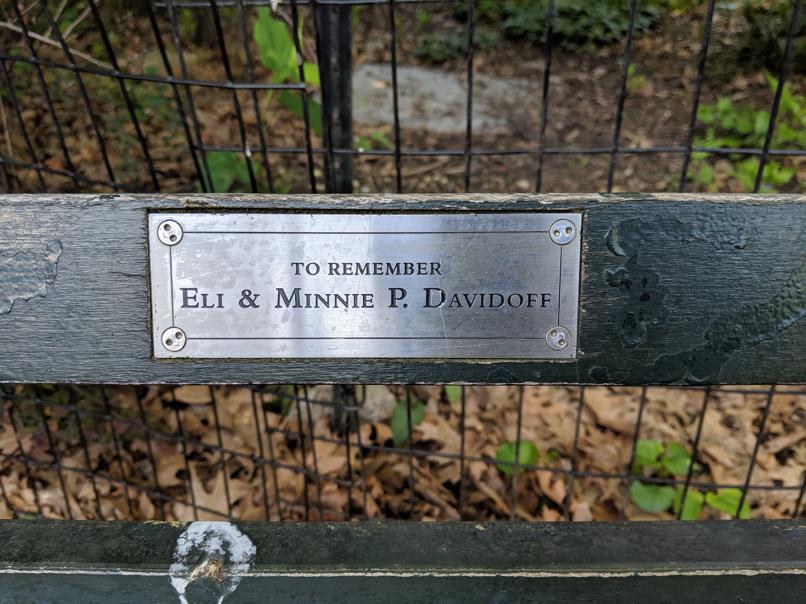 I saw this bench in Central Park