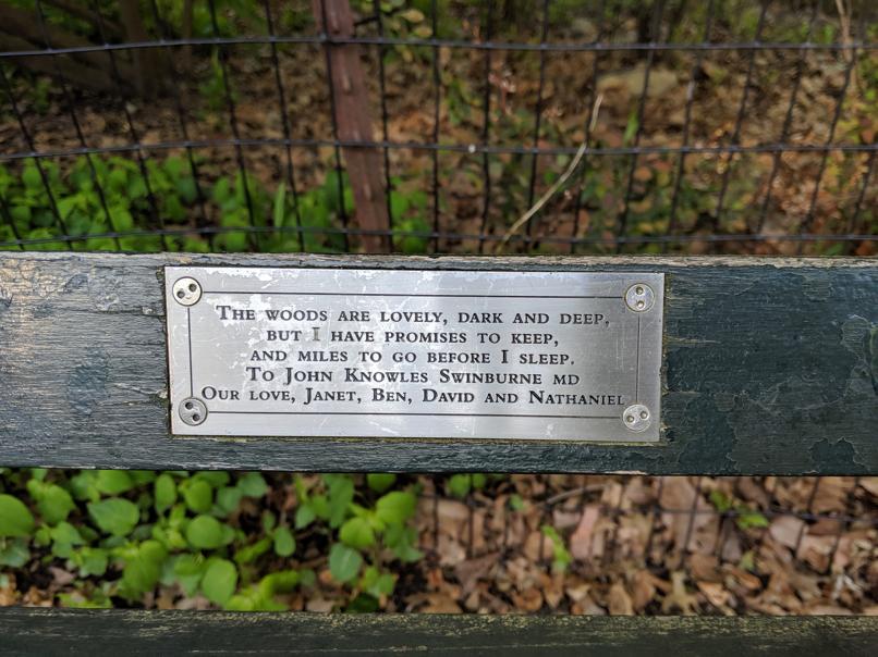 I saw this bench in Central Park