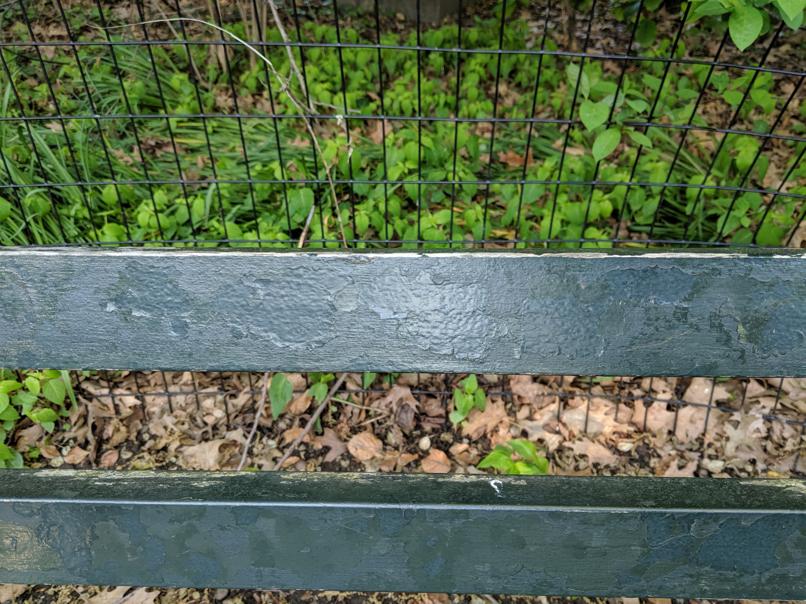 I saw this bench in Central Park