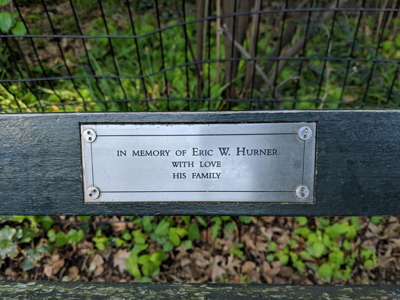 I saw this bench in Central Park