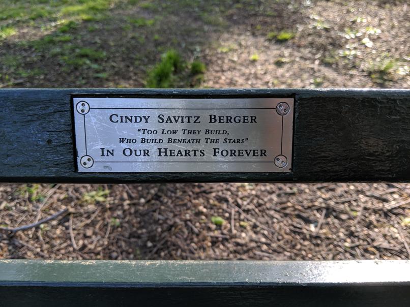 I saw this bench in Central Park