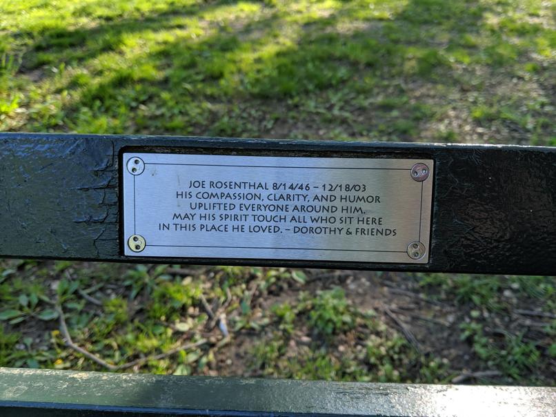 I saw this bench in Central Park