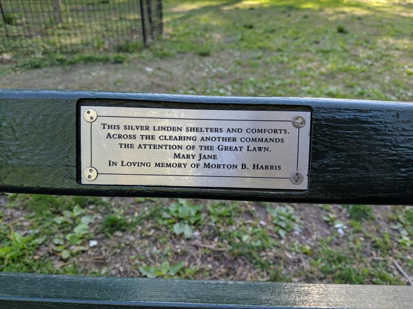 I saw this bench in Central Park