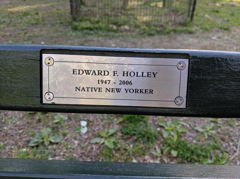 I saw this bench in Central Park