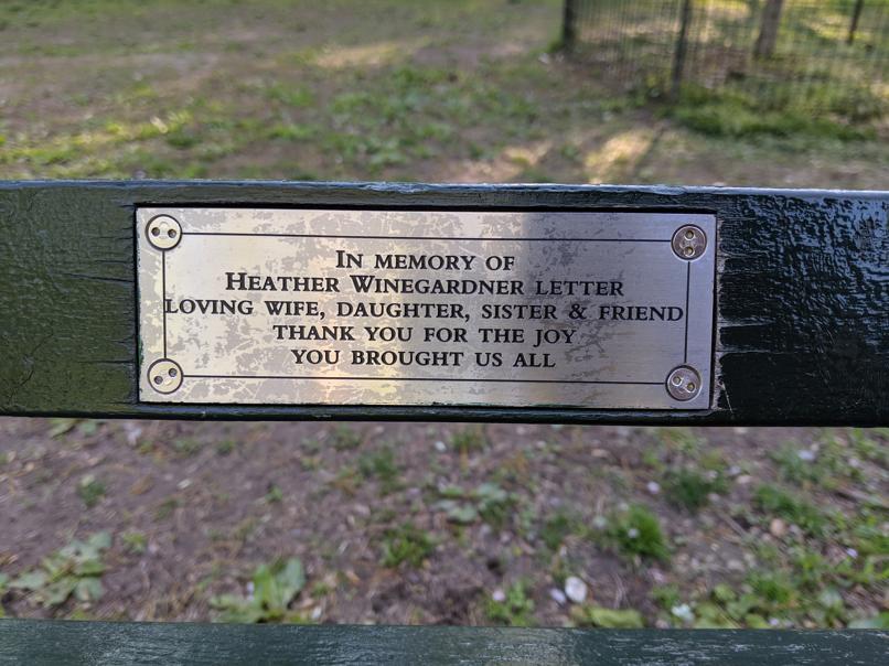 I saw this bench in Central Park