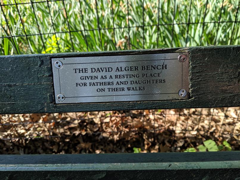 I saw this bench in Central Park