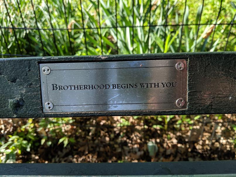 I saw this bench in Central Park