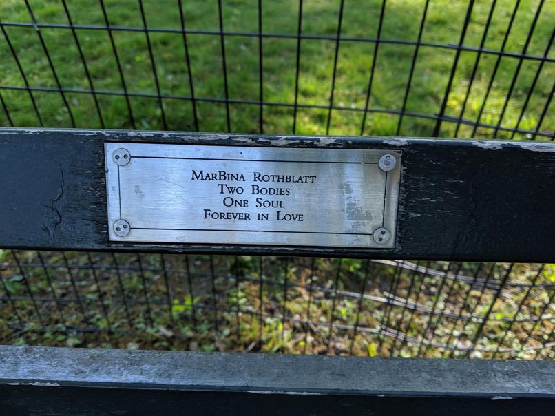 I saw this bench in Central Park