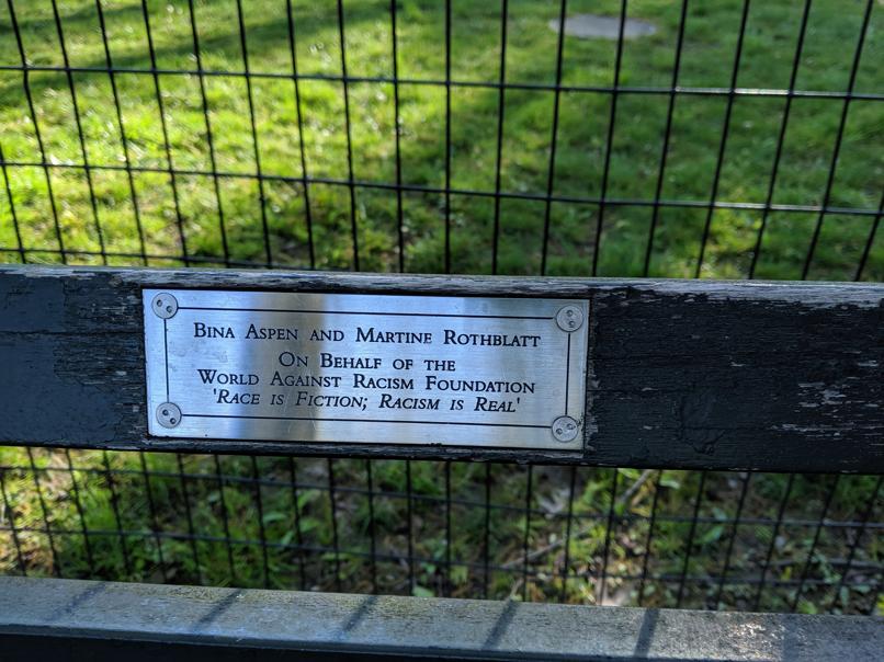 I saw this bench in Central Park