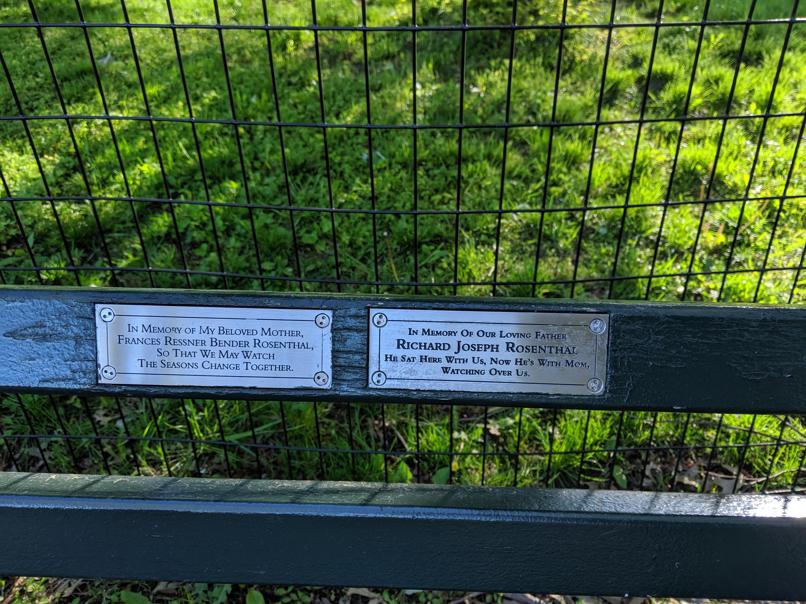 I saw this bench in Central Park