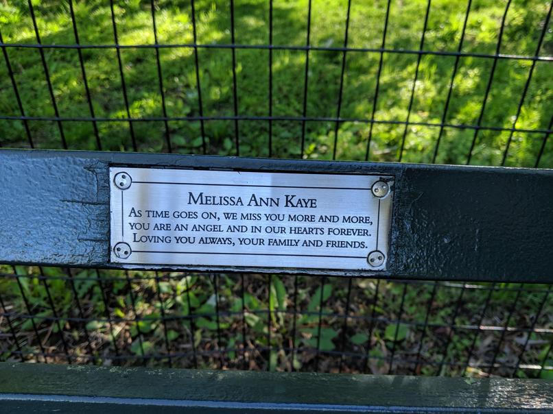 I saw this bench in Central Park