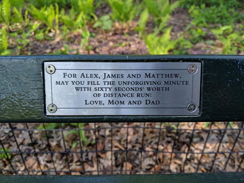 I saw this bench in Central Park