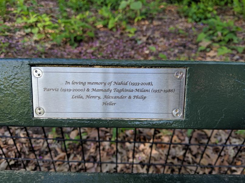 I saw this bench in Central Park