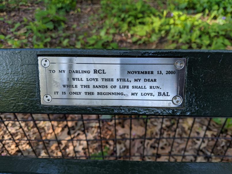 I saw this bench in Central Park